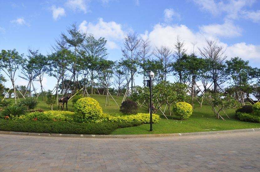 園林綠化工程雨季施工有哪些問題？