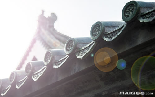 深圳傳統文化大盤點 看沙頭角魚燈舞 游大鵬古城【深圳文化】