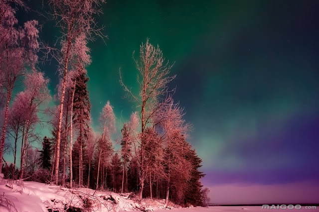 芬蘭北極光