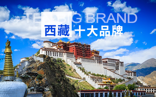 西藏十大品牌