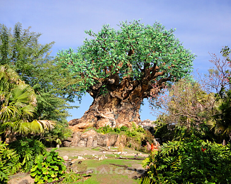 迪士尼動物王國的生命之樹